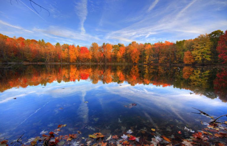 Finger Lakes Foliage Leaf Peeping Best Times To See Leaves Change